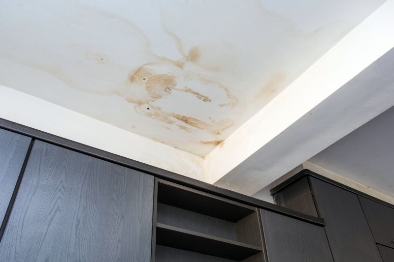 Bathroom Water Damage Repair in Conroe, TX