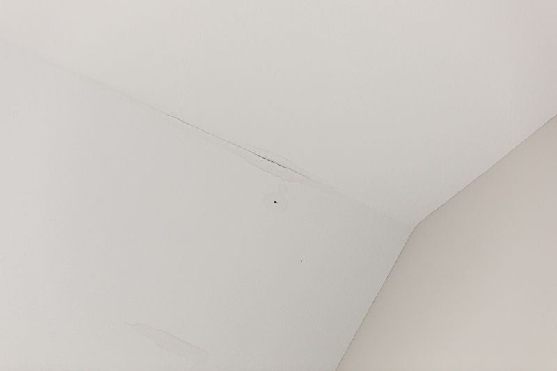 Ceiling Leak Repair Service in Alpharetta, GA